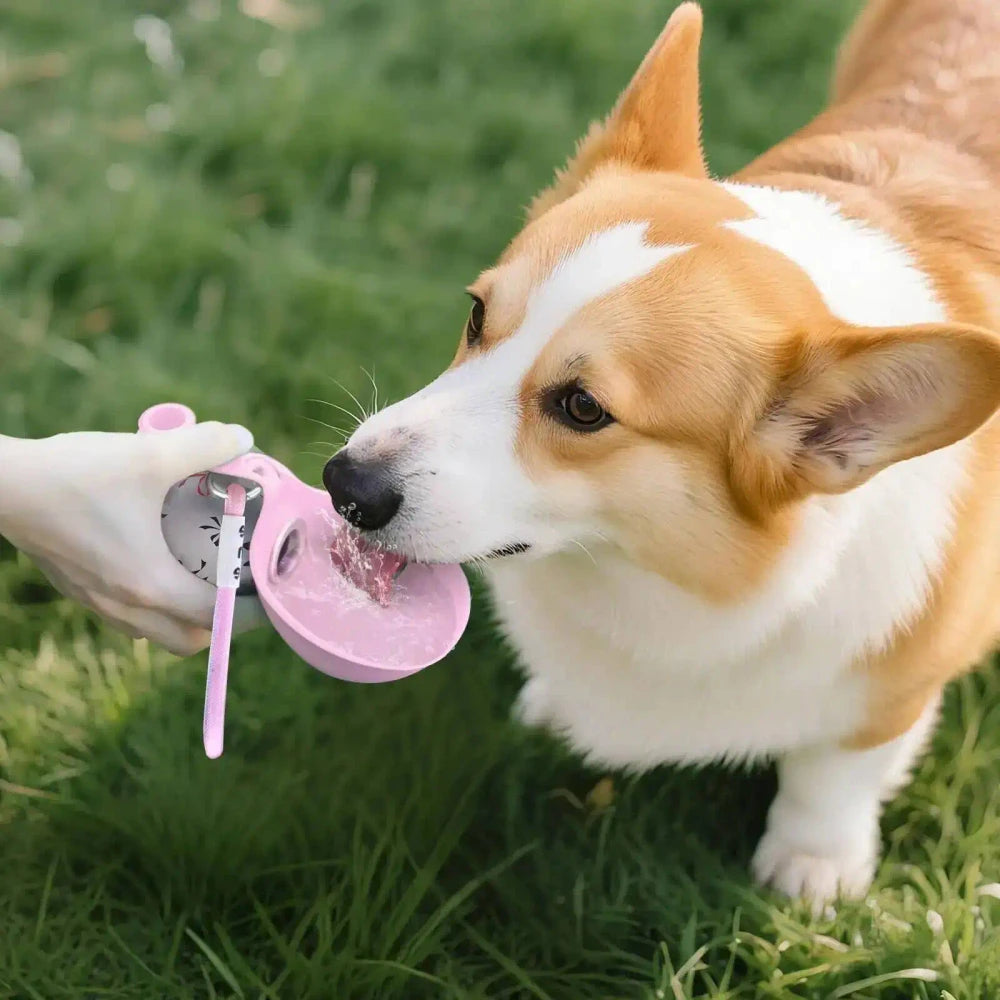 Portable Small Dog Water Bottle